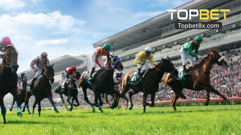 Sảnh Thể Thao I SRPORTS